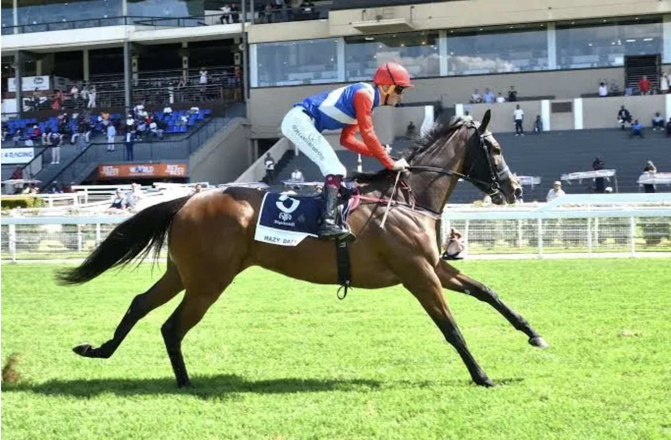 Hazy Dazy in HWB Durban July