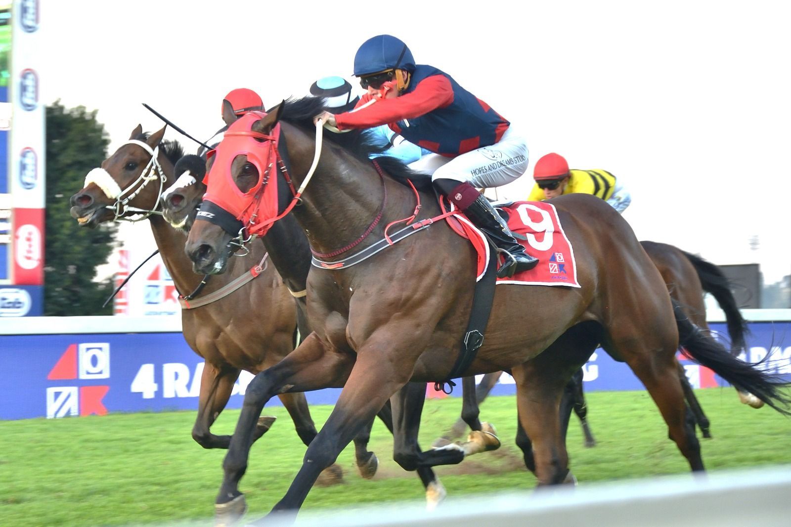 Some consolation on Champions Day