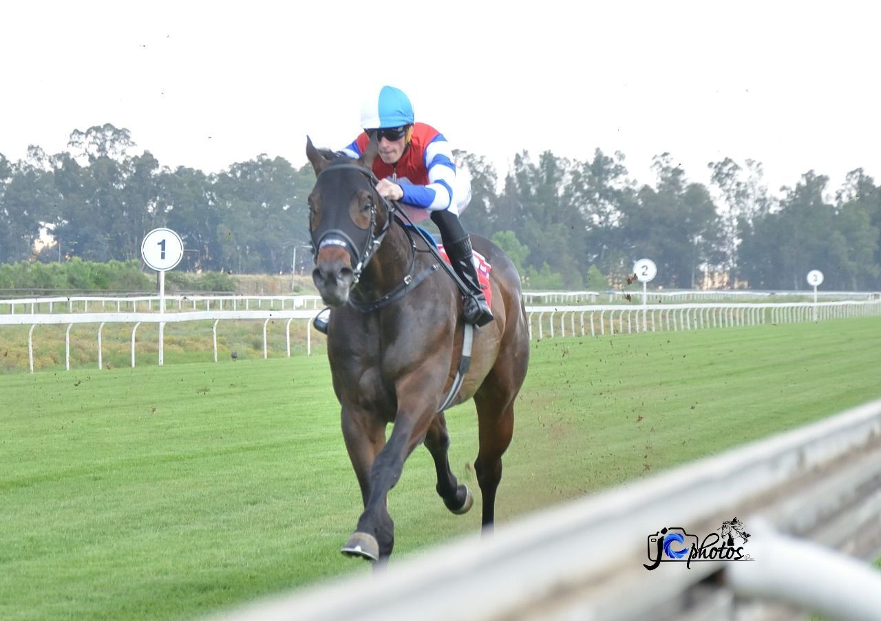 African Pride looks destined for the top