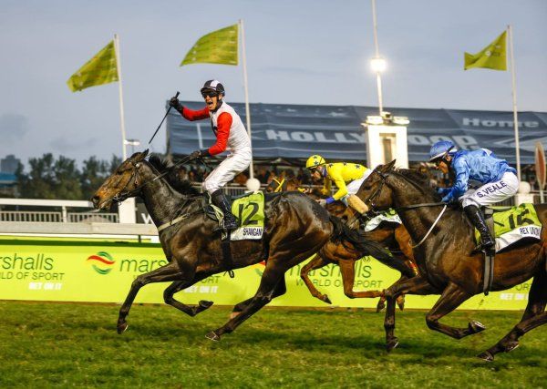 Imperial Ruby (yellow silks), beaten in the final strides of the Gold Cup. (Candiese Lenferna)