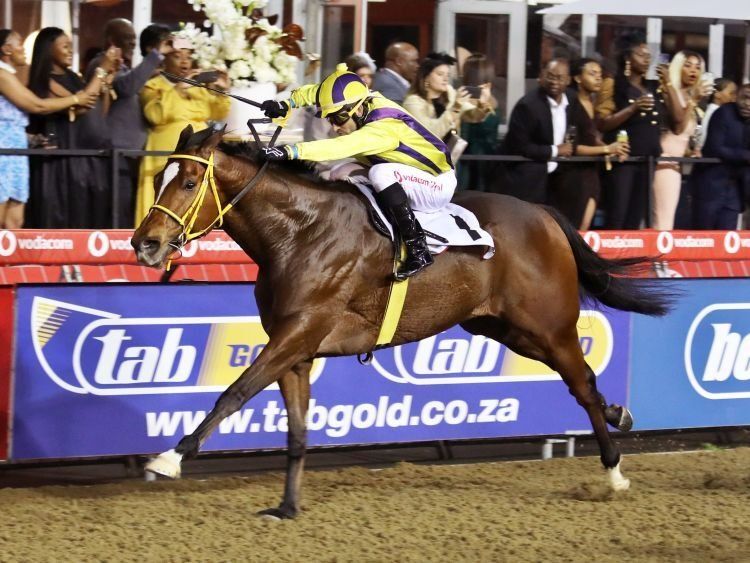Spies Racing racehorse